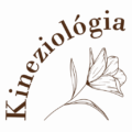 Kalocsai Erika – Kineziológia – Fülakupunktúra